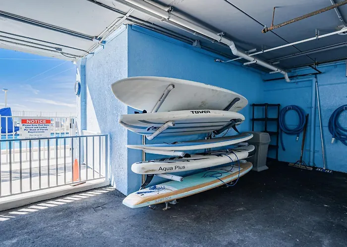 Dollar 503 Apartment